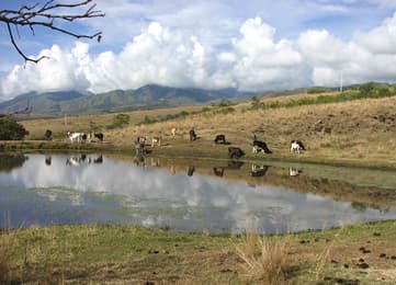 Agrupación